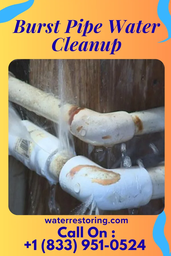Burst Pipe Water Cleanup in Norwich, OH