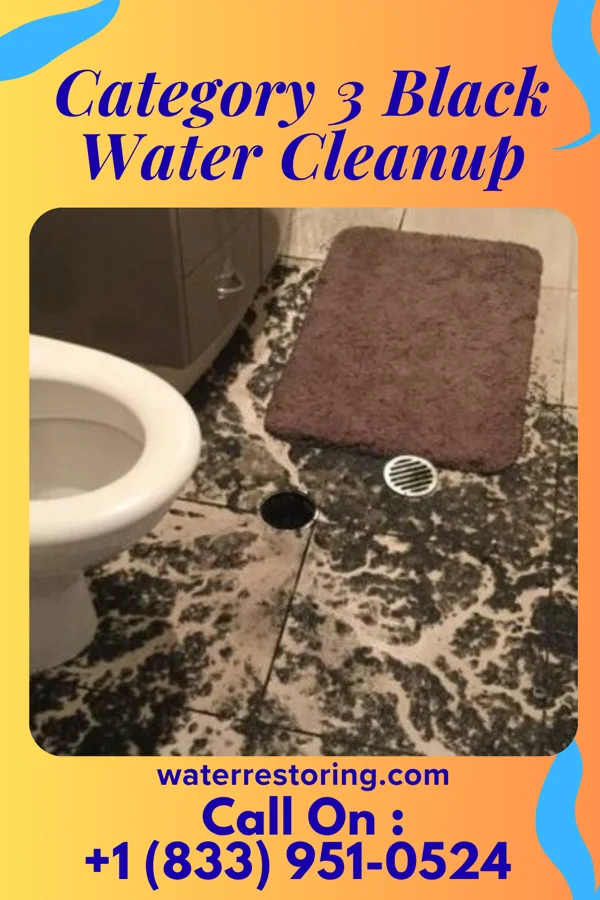 Category 3 Black Water Cleanup in Norwich, OH