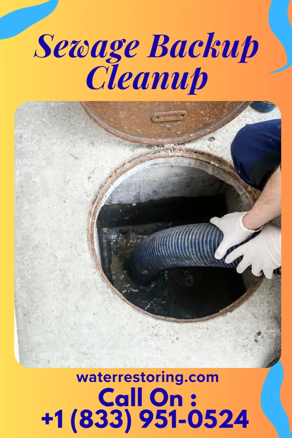 Sewage Backup Cleanup in Norwich, OH