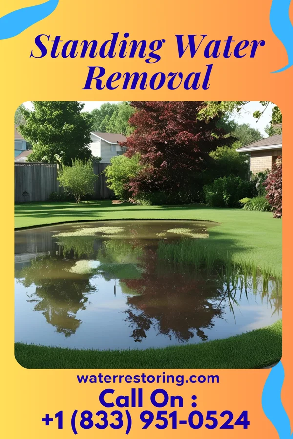 Standing Water Removal in Norwich, OH
